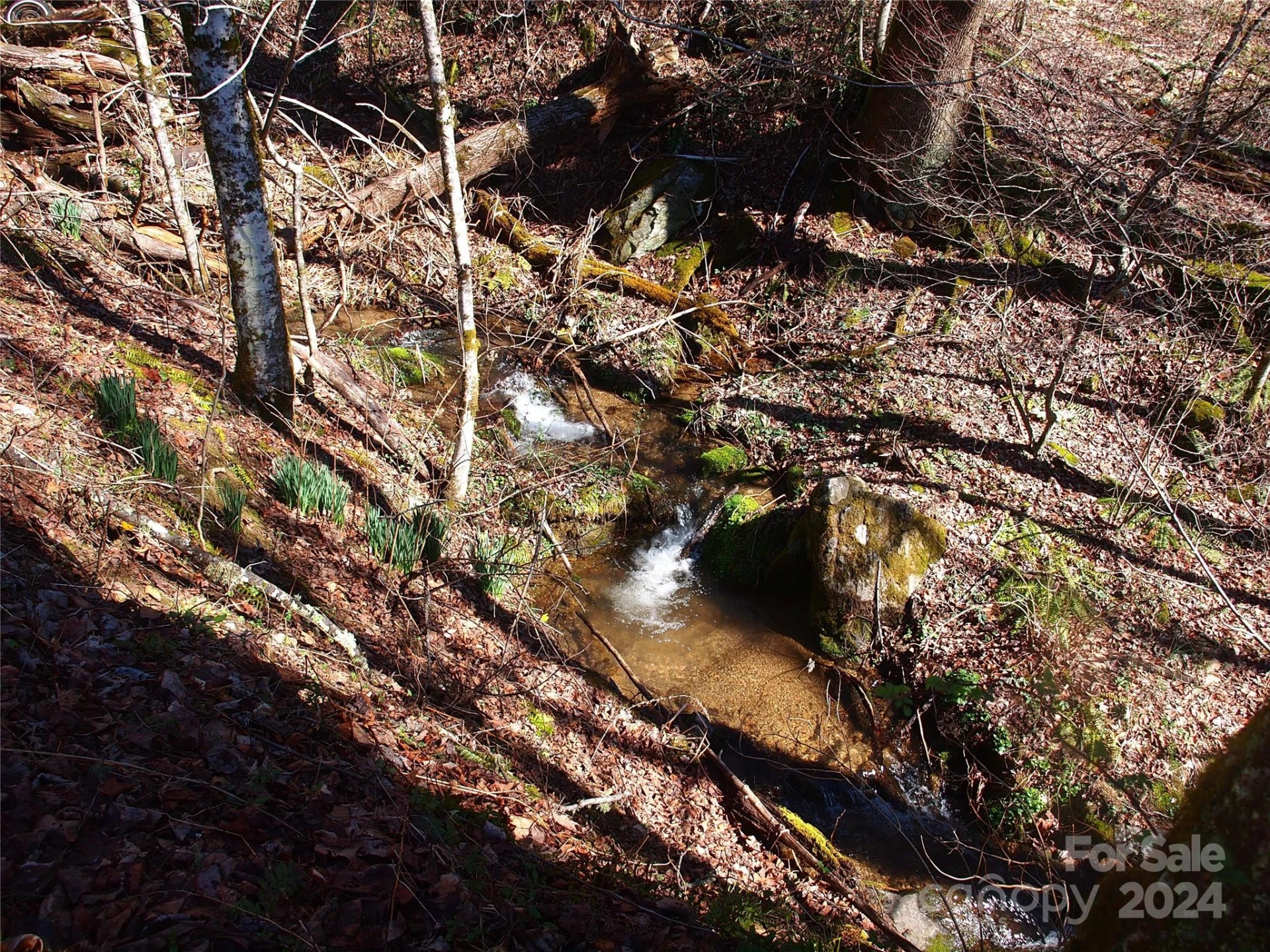664 Woodfin Road - Photo 31