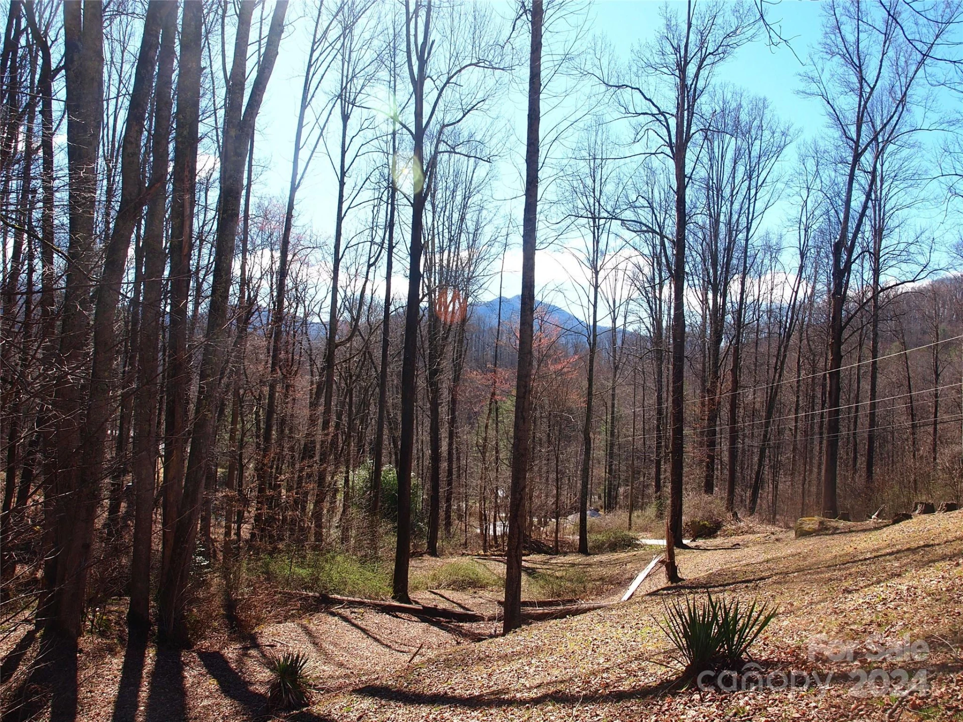 664 Woodfin Road - Photo 33