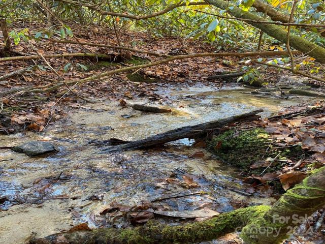 L41 Abby Falls Road, Rosman, NC, 28772