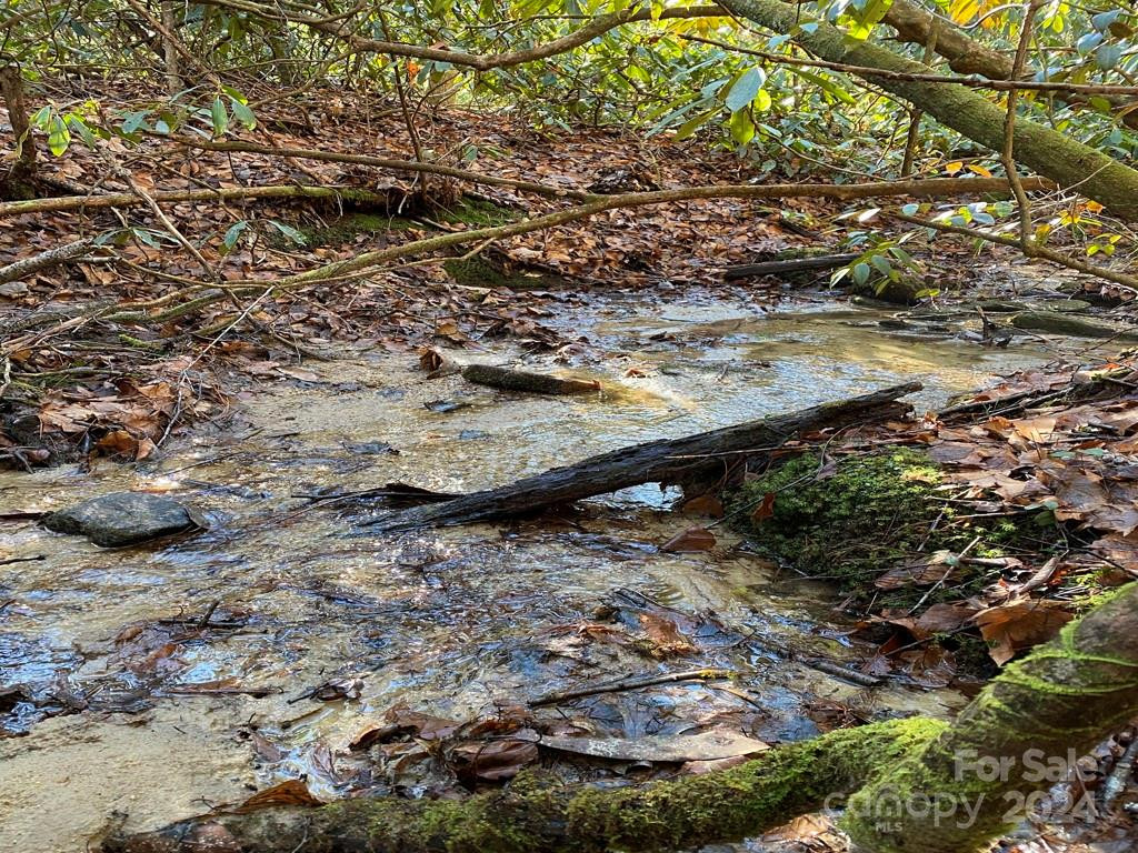 L41 Abby Falls Road #L41