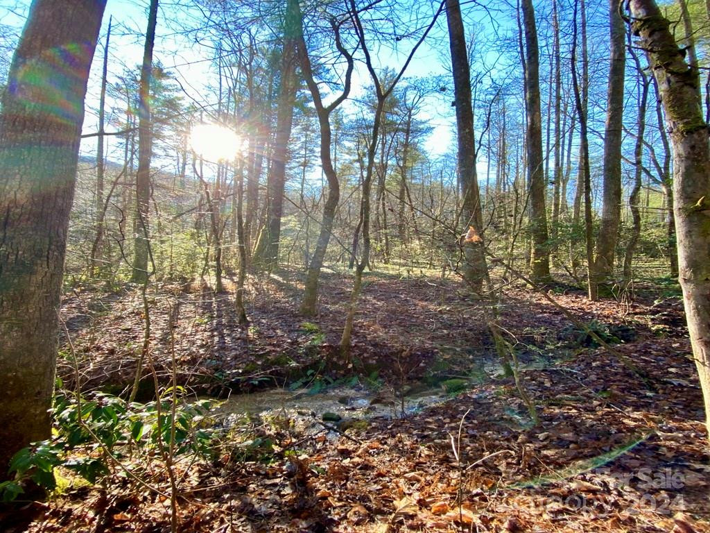 L41 Abby Falls Road #L41 - Photo 2