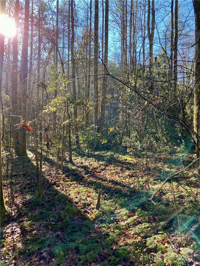 L41 Abby Falls Road #L41 - Photo 11