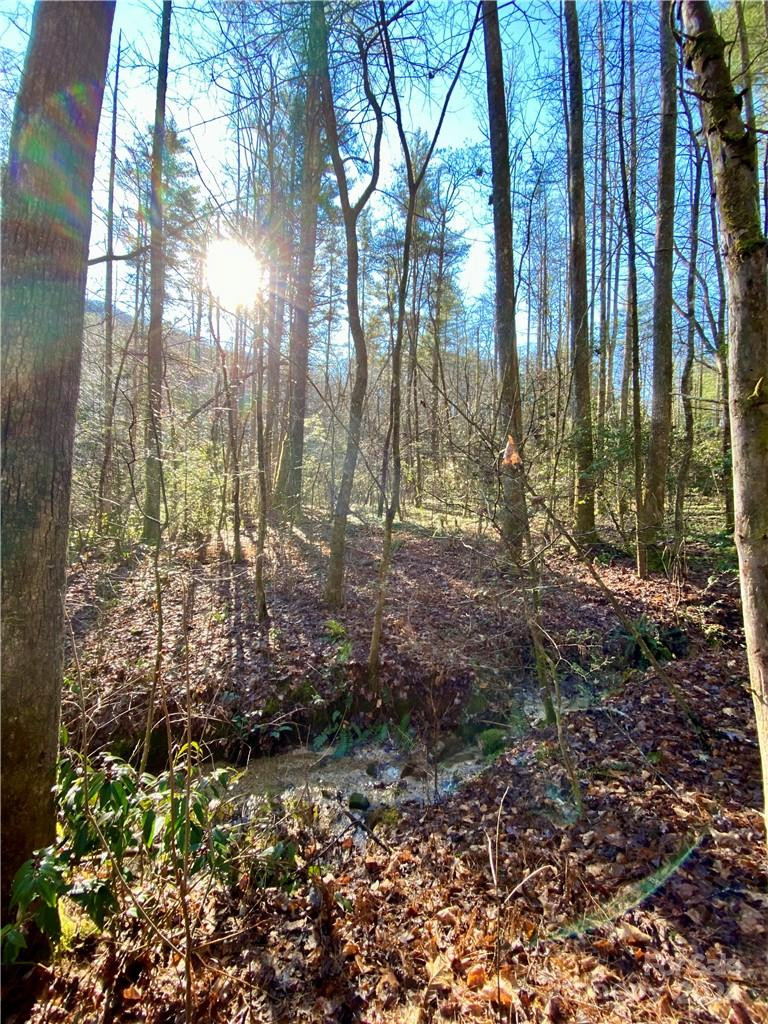 L41 Abby Falls Road #L41 - Photo 12