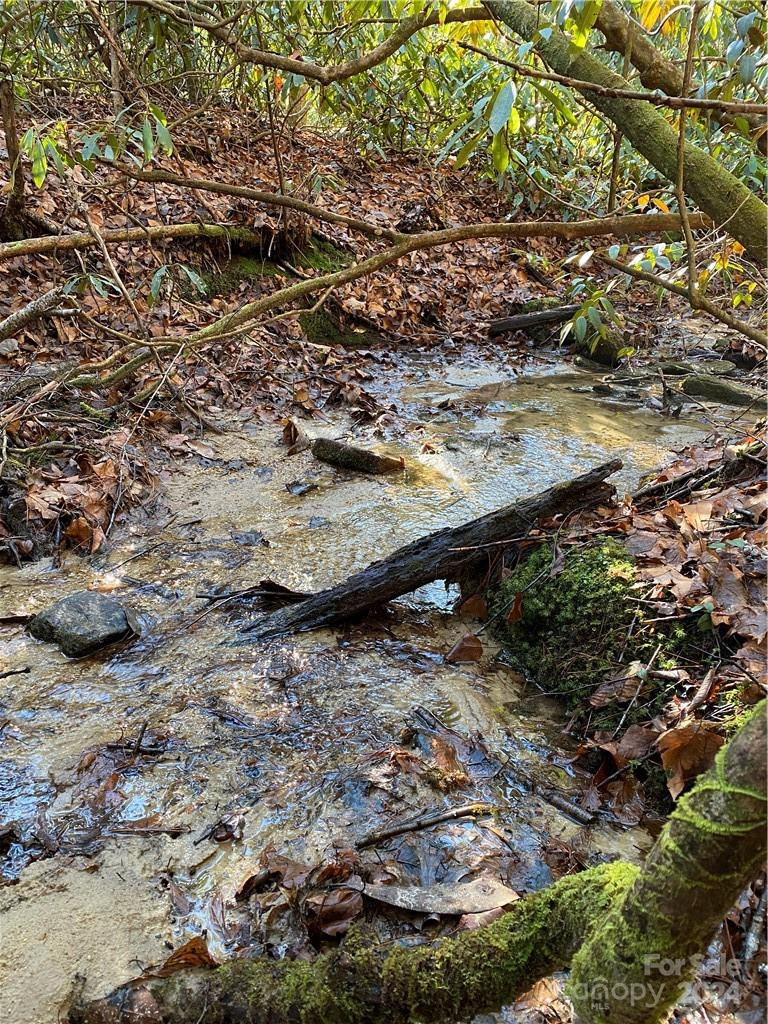 L41 Abby Falls Road #L41 - Photo 15