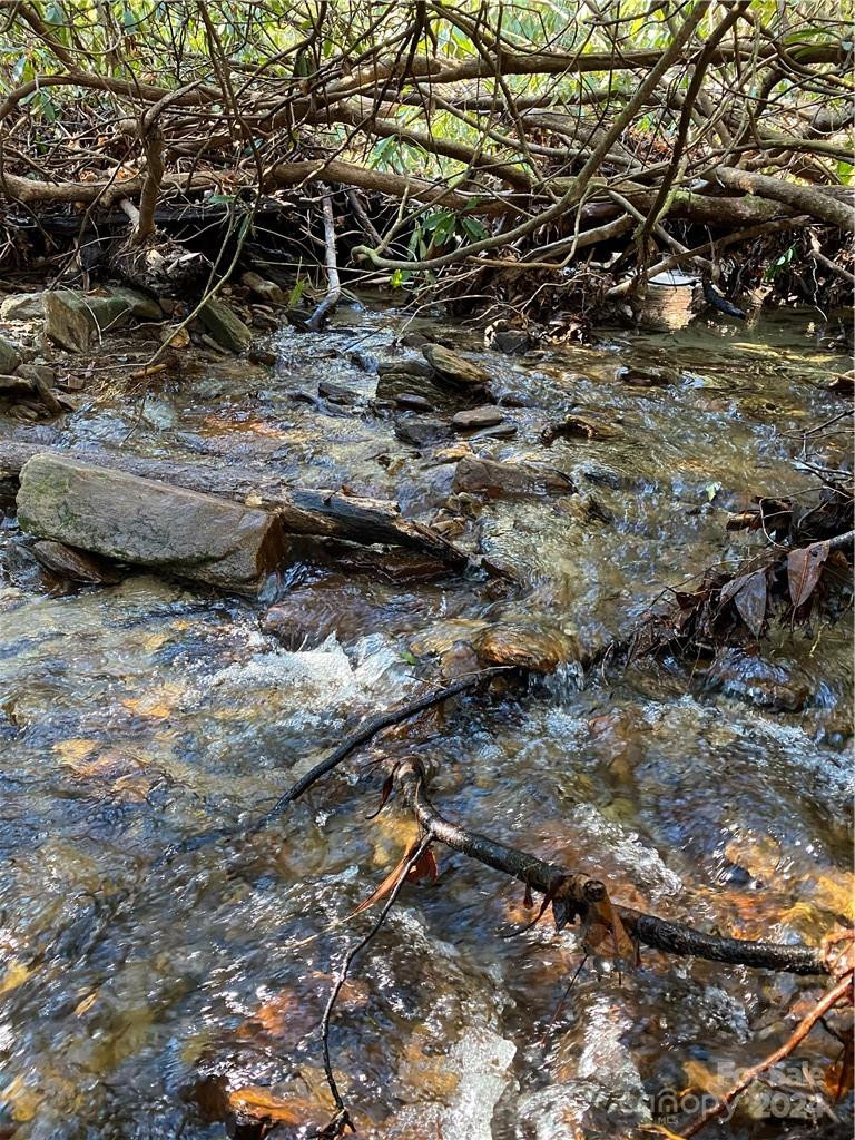 L41 Abby Falls Road #L41 - Photo 16