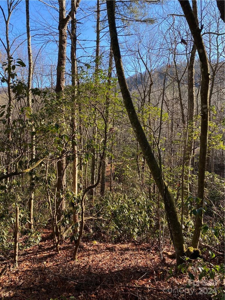 L41 Abby Falls Road #L41 - Photo 17