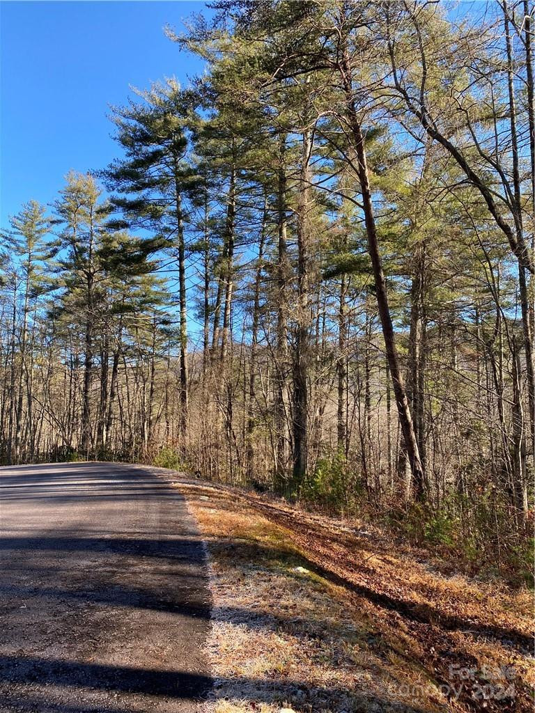 L41 Abby Falls Road #L41 - Photo 18