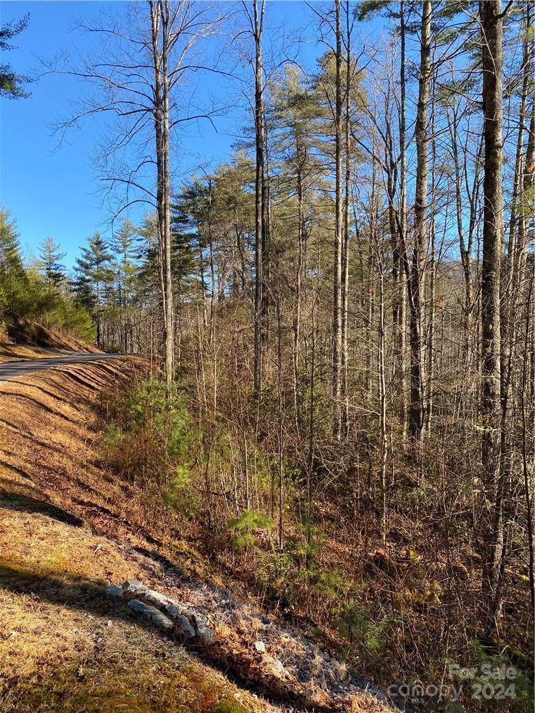 L41 Abby Falls Road #L41 - Photo 19