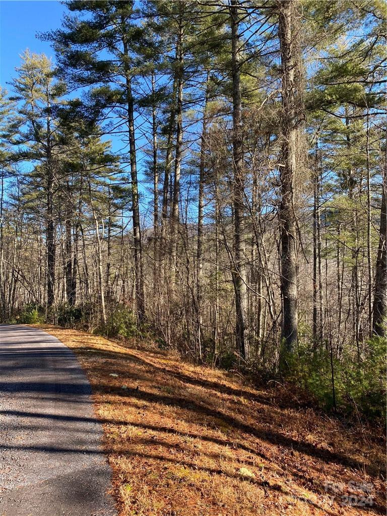 L41 Abby Falls Road #L41 - Photo 7