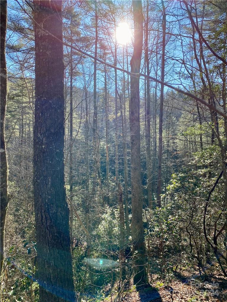 L41 Abby Falls Road #L41 - Photo 8