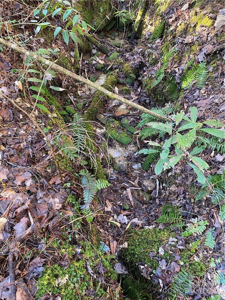 L41 Abby Falls Road #L41 - Photo 9