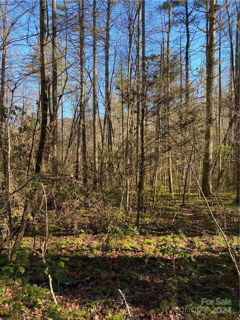 L41 Abby Falls Road #L41 - Photo 10