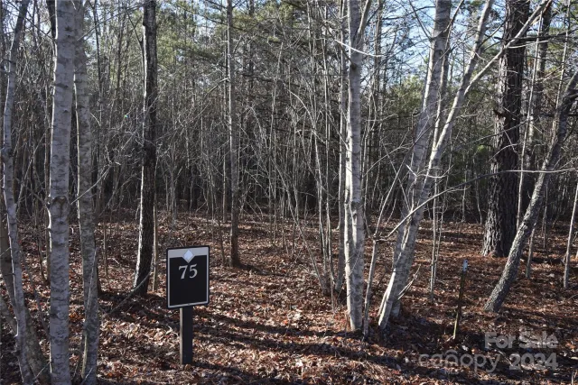 Lot 75 Tayberry Drive
