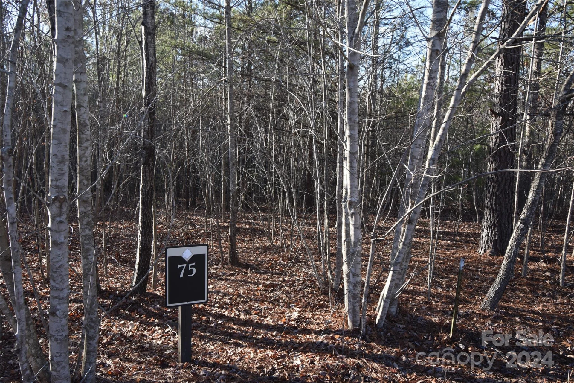 Lot 75 Tayberry Drive