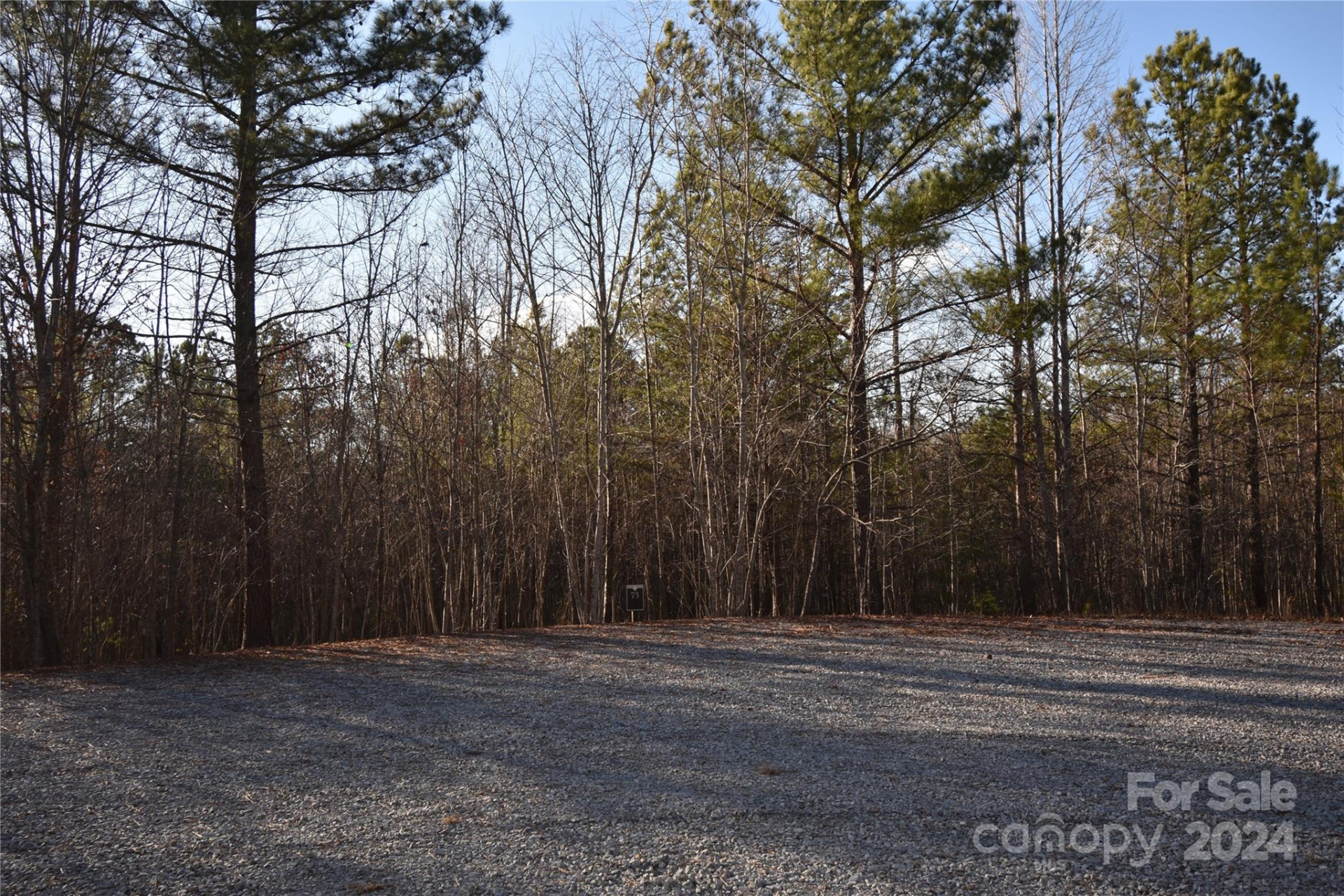 Lot 75 Tayberry Drive - Photo 2