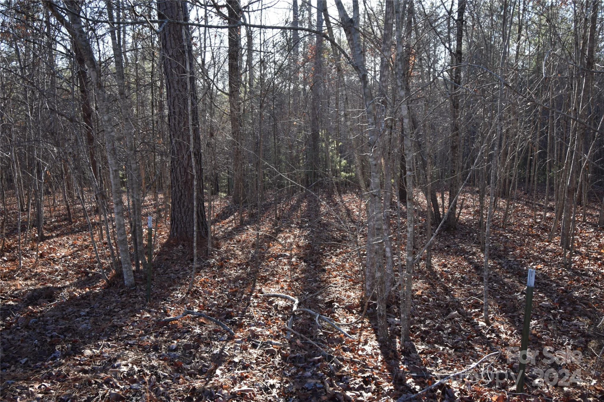 Lot 75 Tayberry Drive - Photo 3