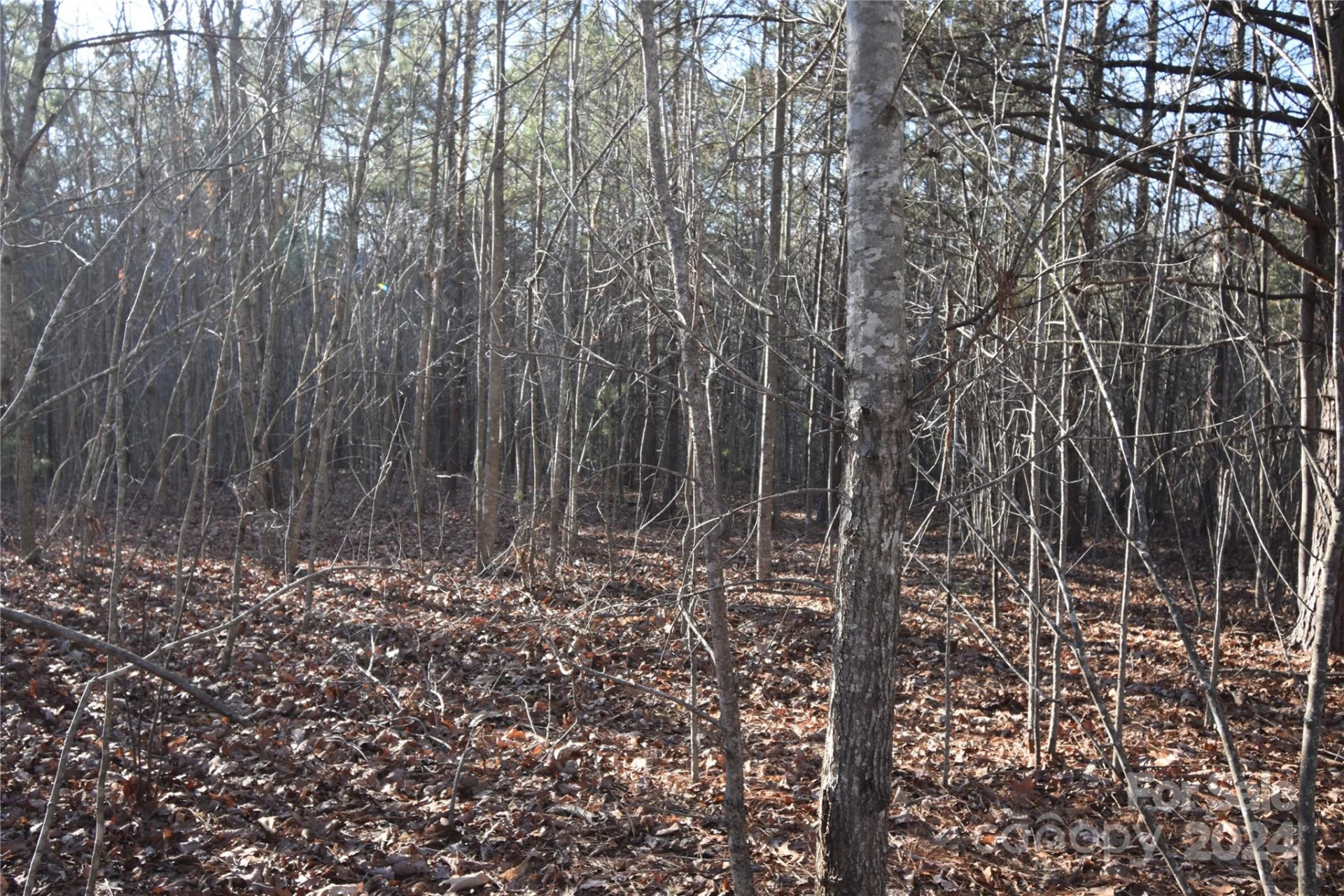 Lot 75 Tayberry Drive - Photo 4