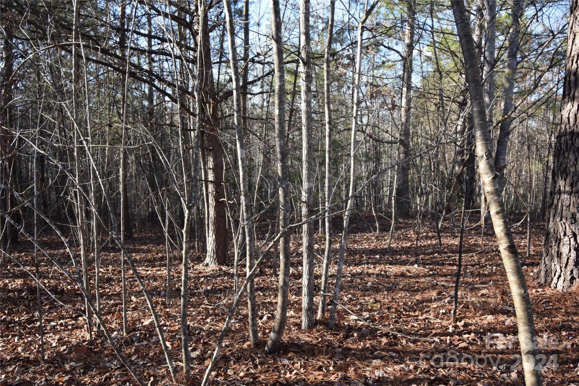 Lot 75 Tayberry Drive - Photo 5