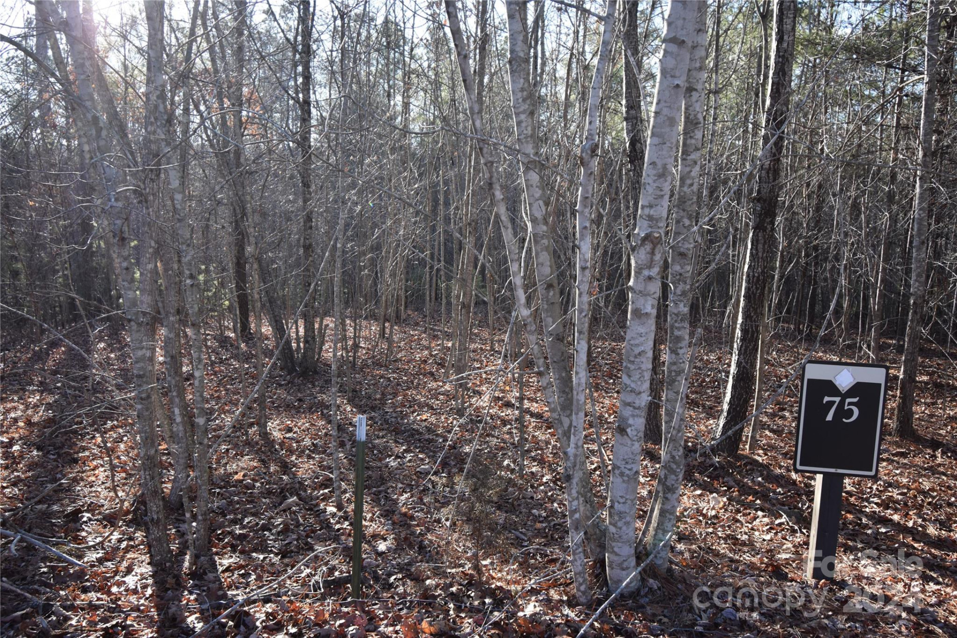 Lot 75 Tayberry Drive - Photo 8