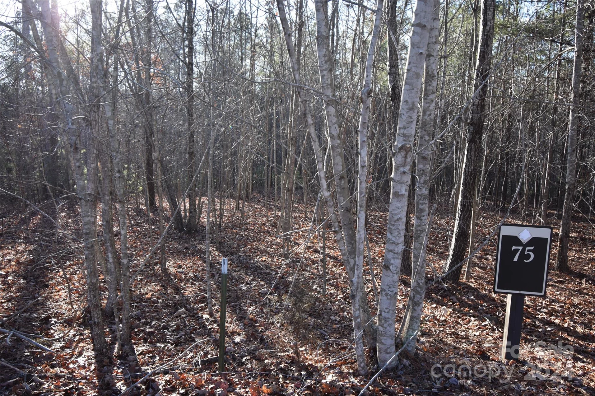 Lot 75 Tayberry Drive - Photo 8