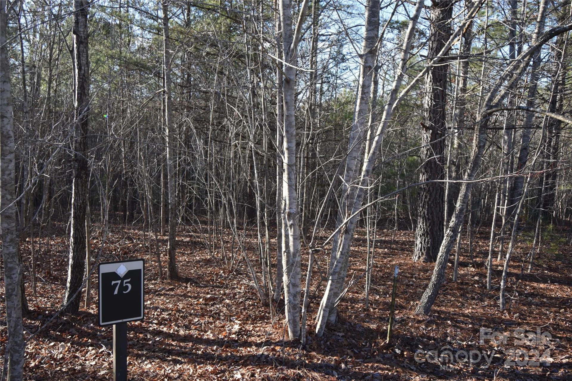 Lot 75 Tayberry Drive - Photo 9