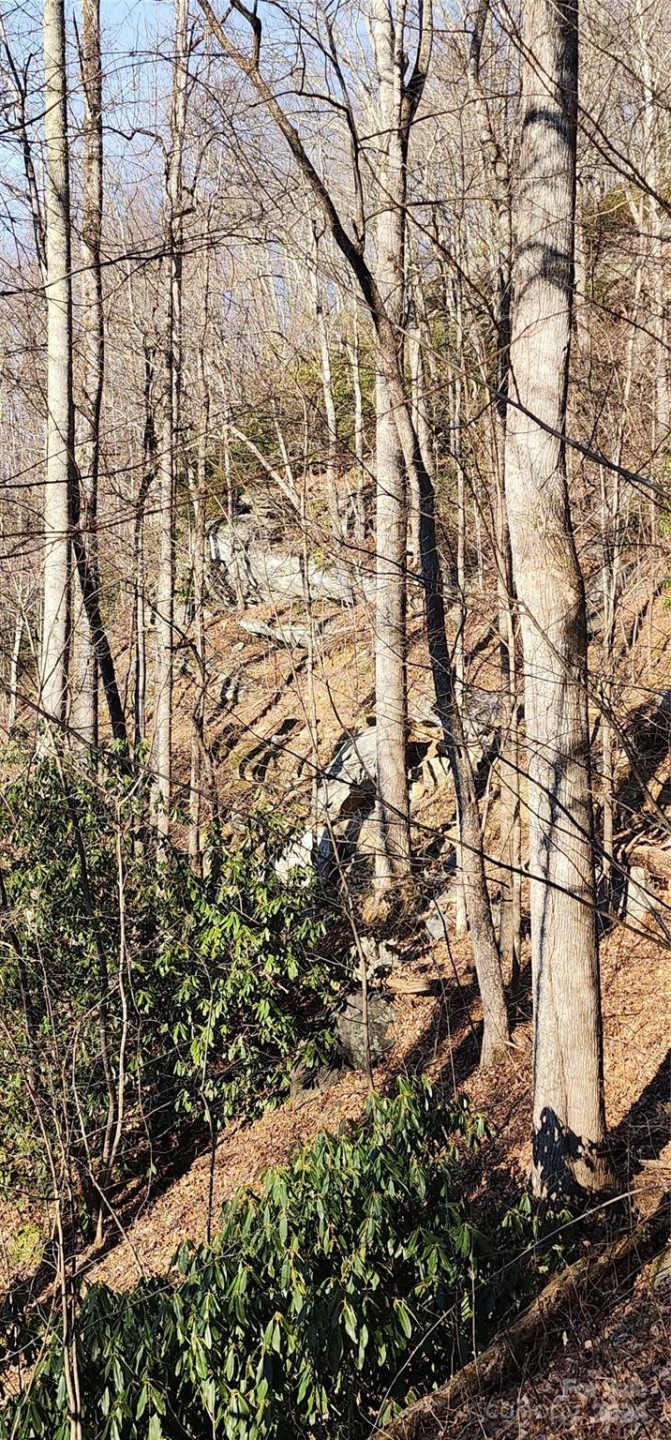 9999 Still Spring Road #Lot 4 - Photo 6