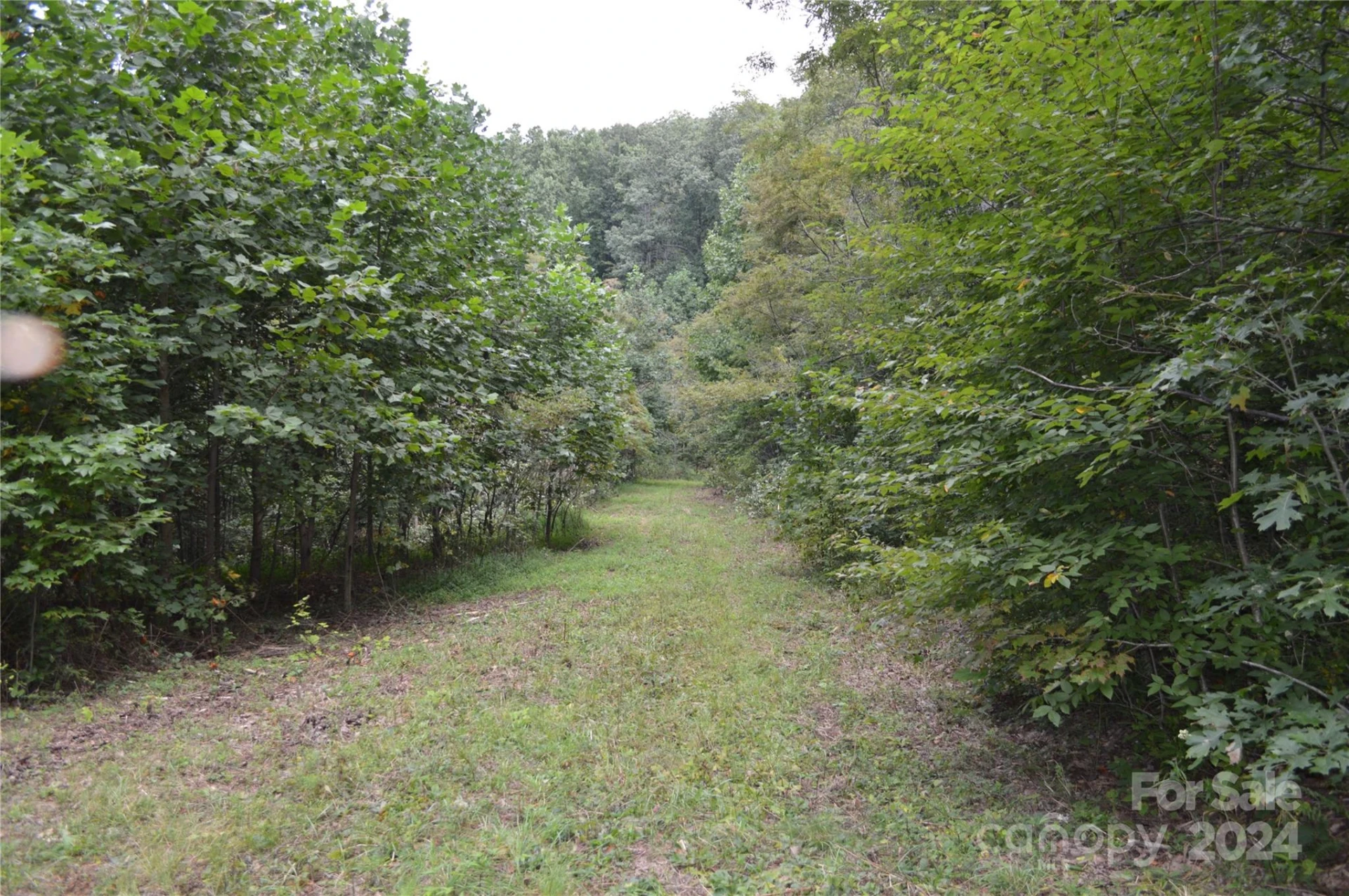 9999 Still Spring Road #Lot 4 - Photo 7