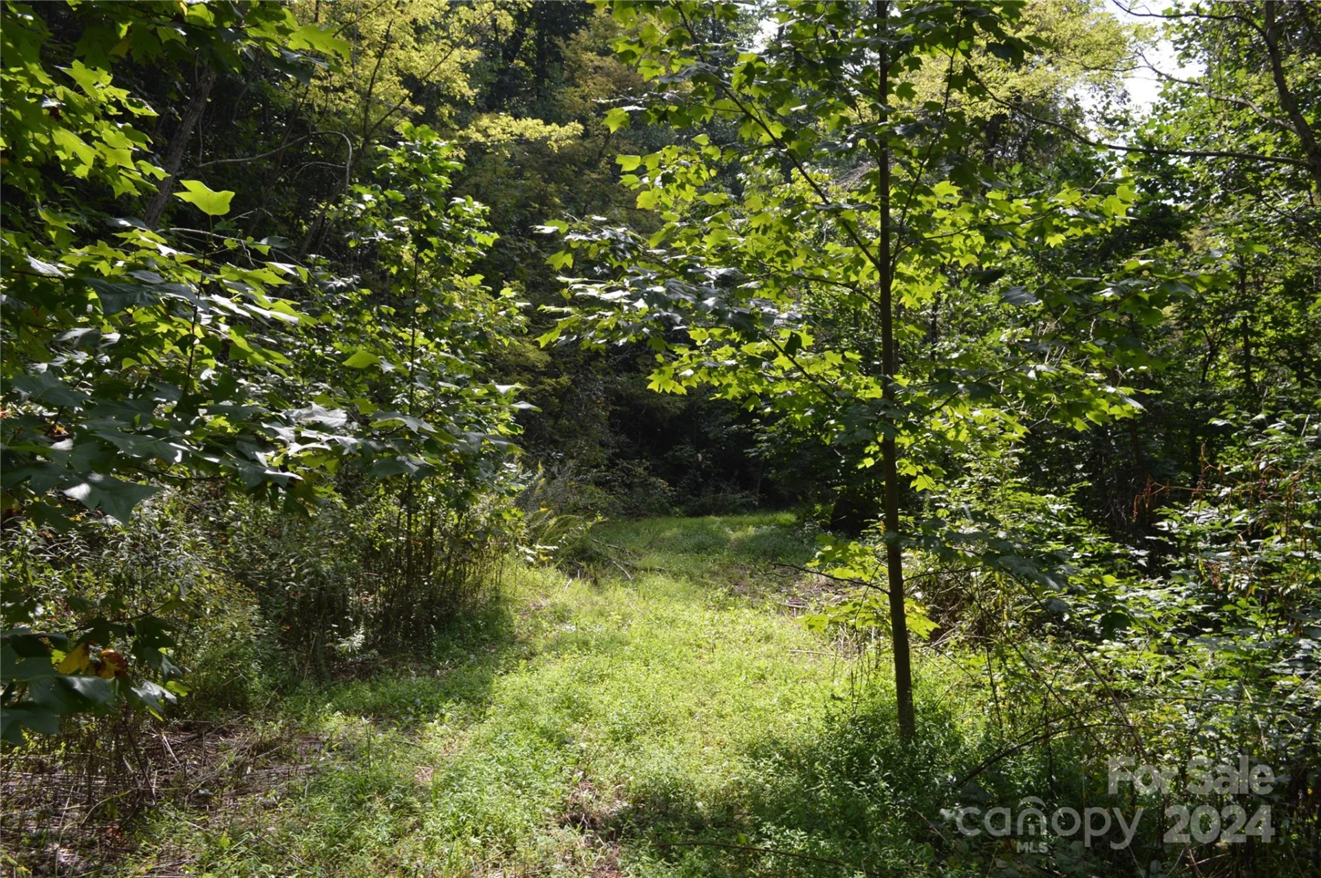 9999 Still Spring Road #Lot 4 - Photo 8