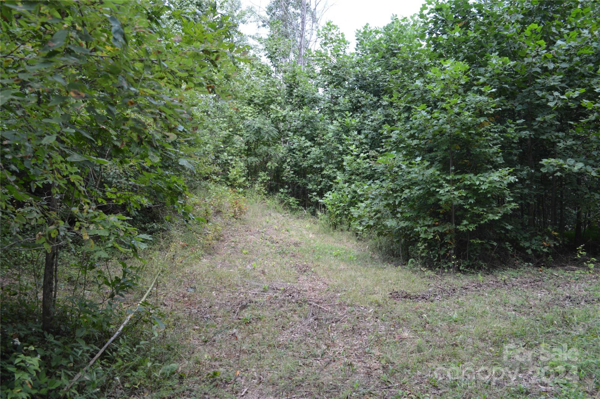 9999 Still Spring Road #Lot 4 - Photo 9