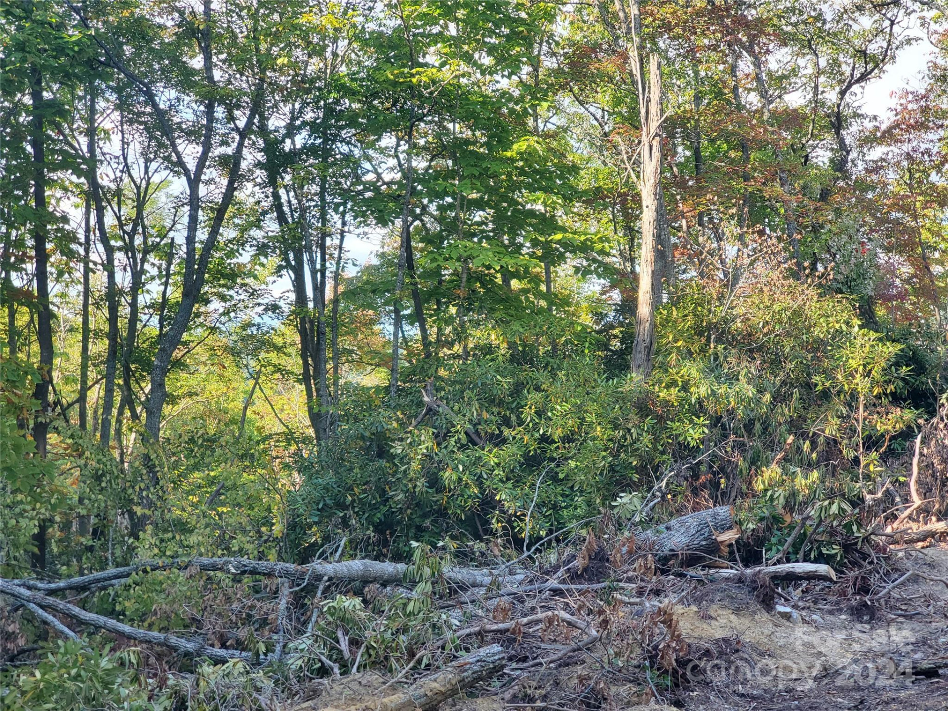 TBD Parkwood Hill Road - Photo 11