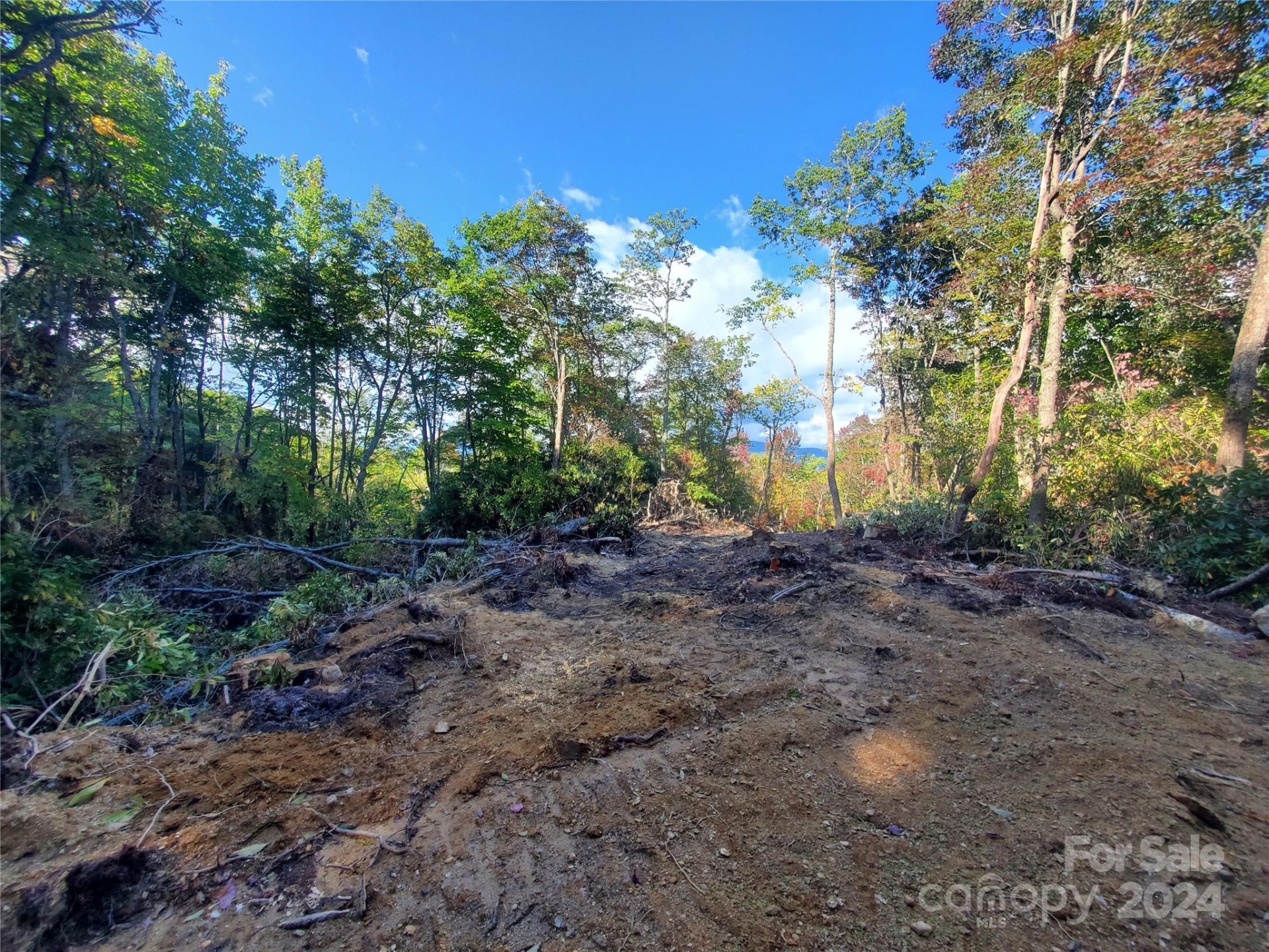 TBD Parkwood Hill Road - Photo 12