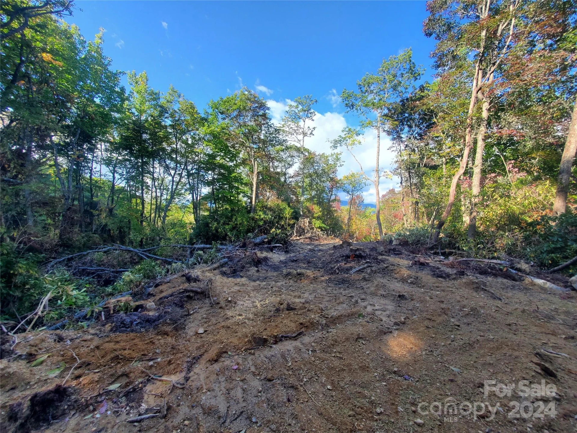 TBD Parkwood Hill Road - Photo 12