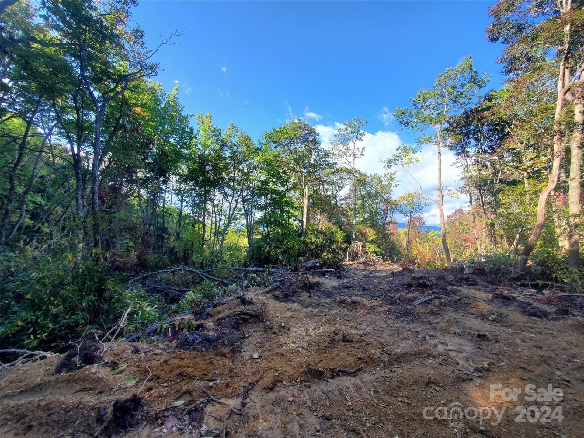 TBD Parkwood Hill Road - Photo 13