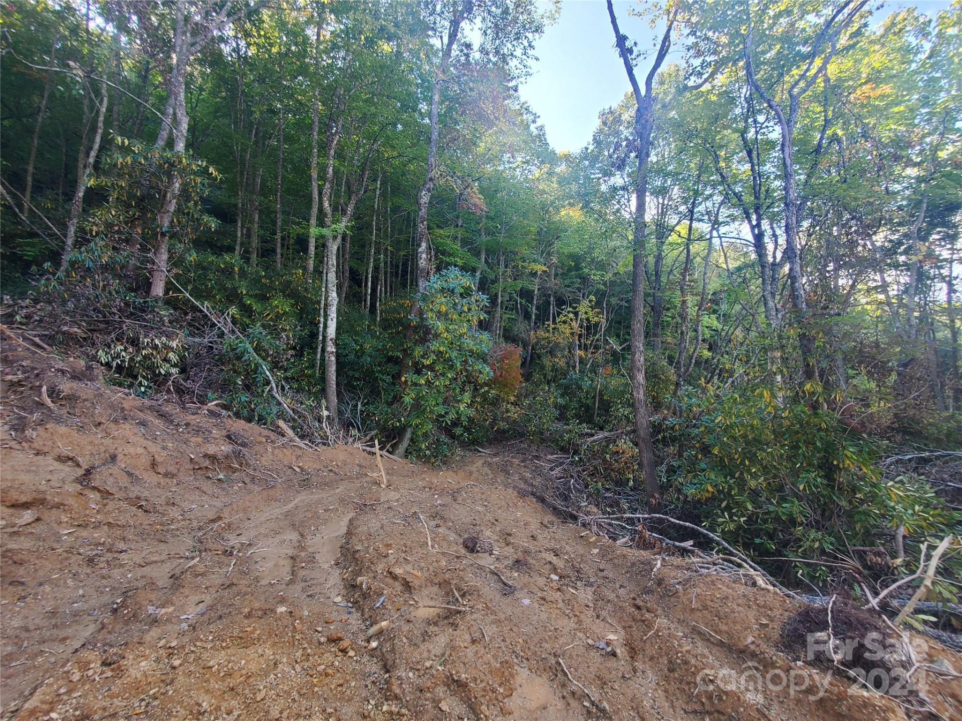 TBD Parkwood Hill Road - Photo 14