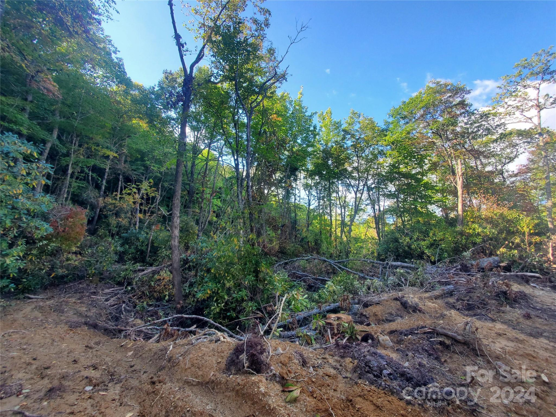 TBD Parkwood Hill Road - Photo 15