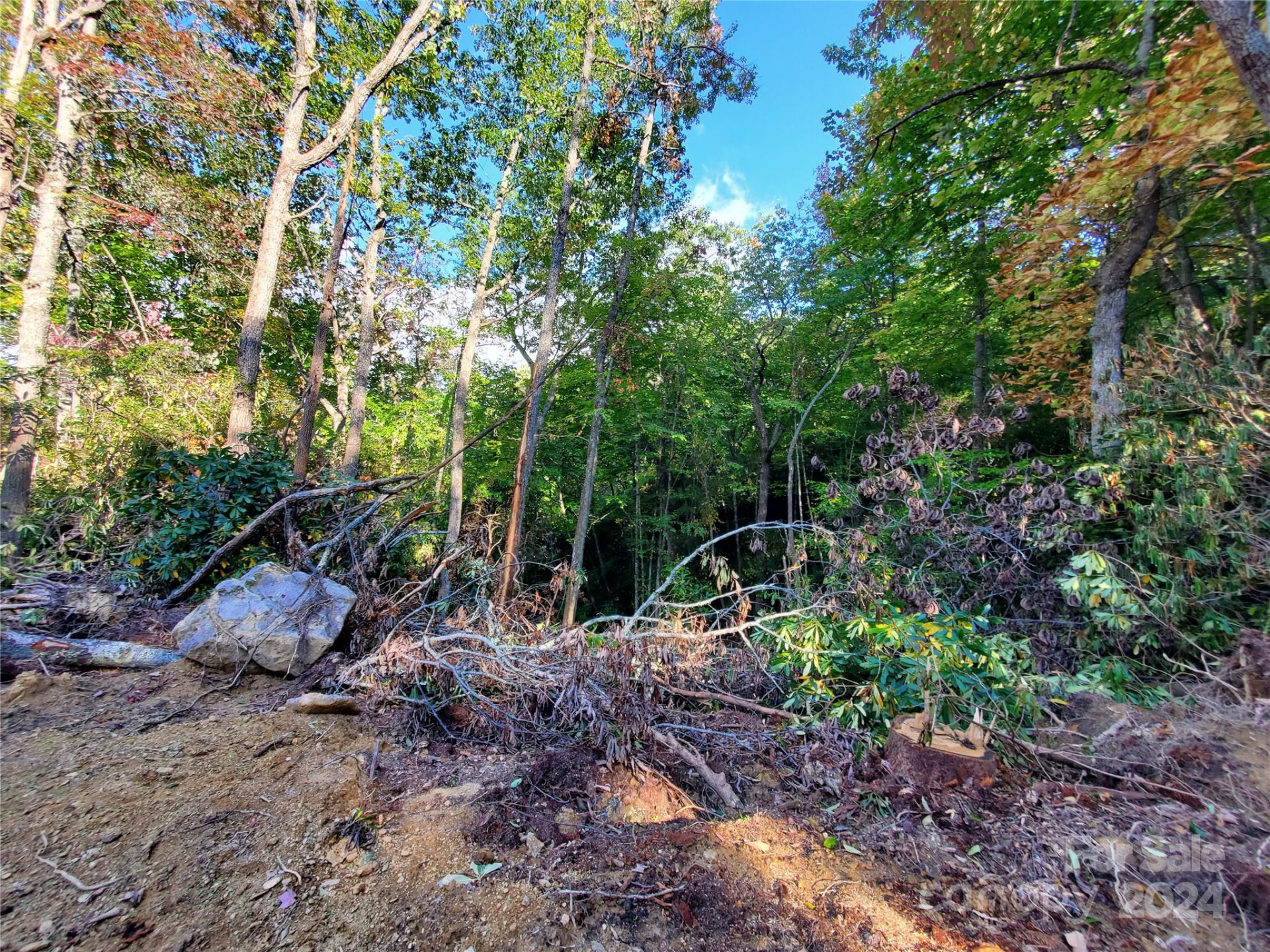 TBD Parkwood Hill Road - Photo 17