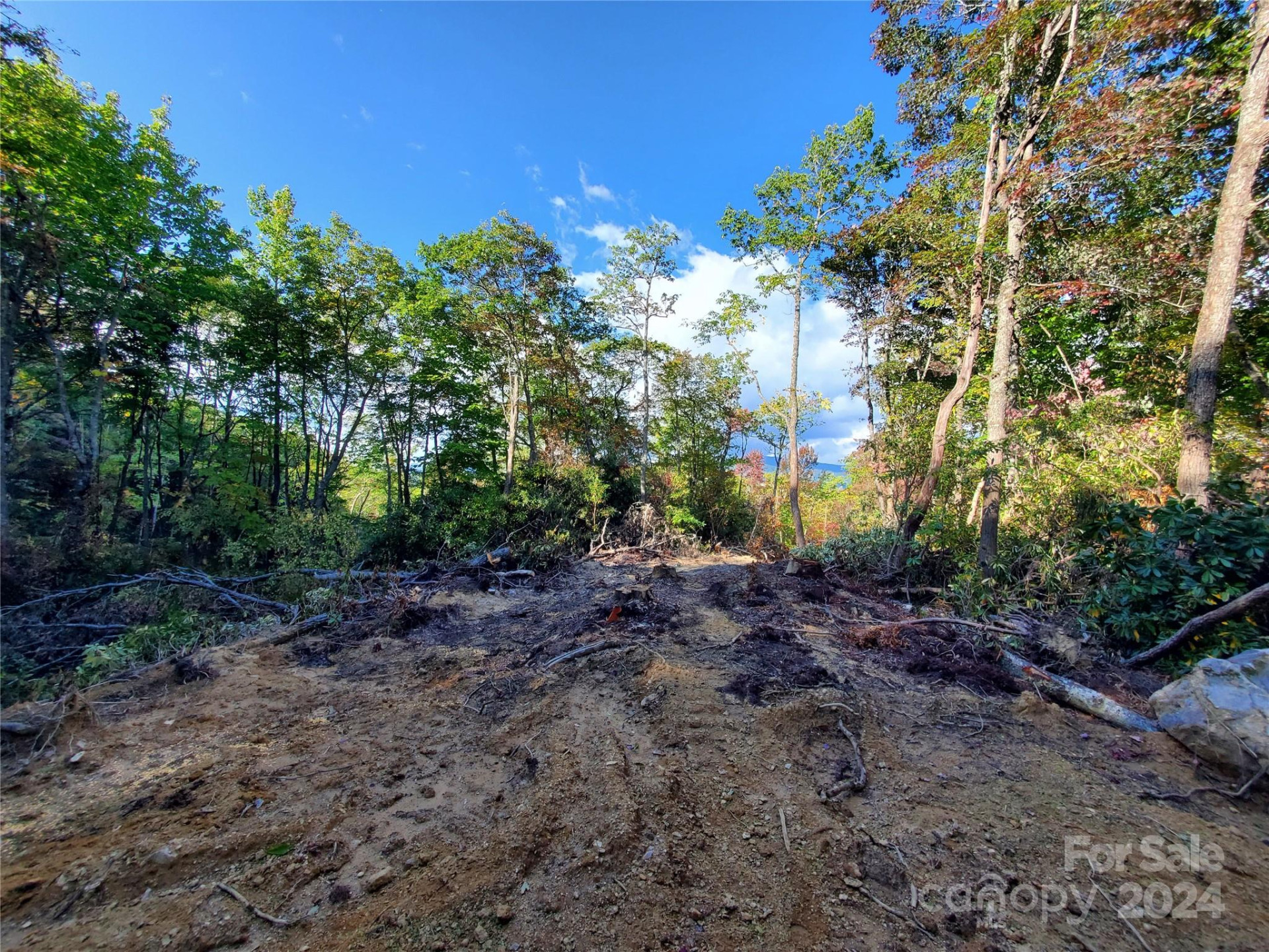 TBD Parkwood Hill Road - Photo 18