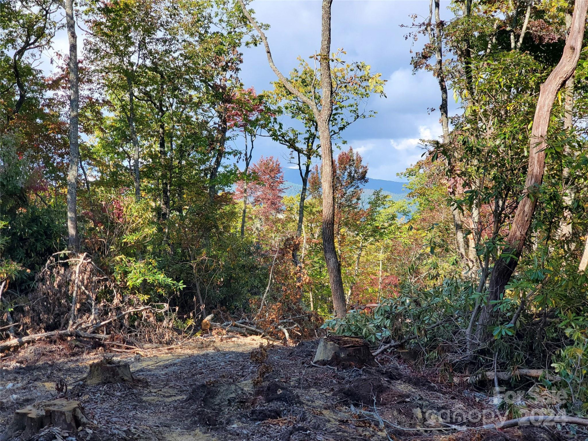 TBD Parkwood Hill Road - Photo 19