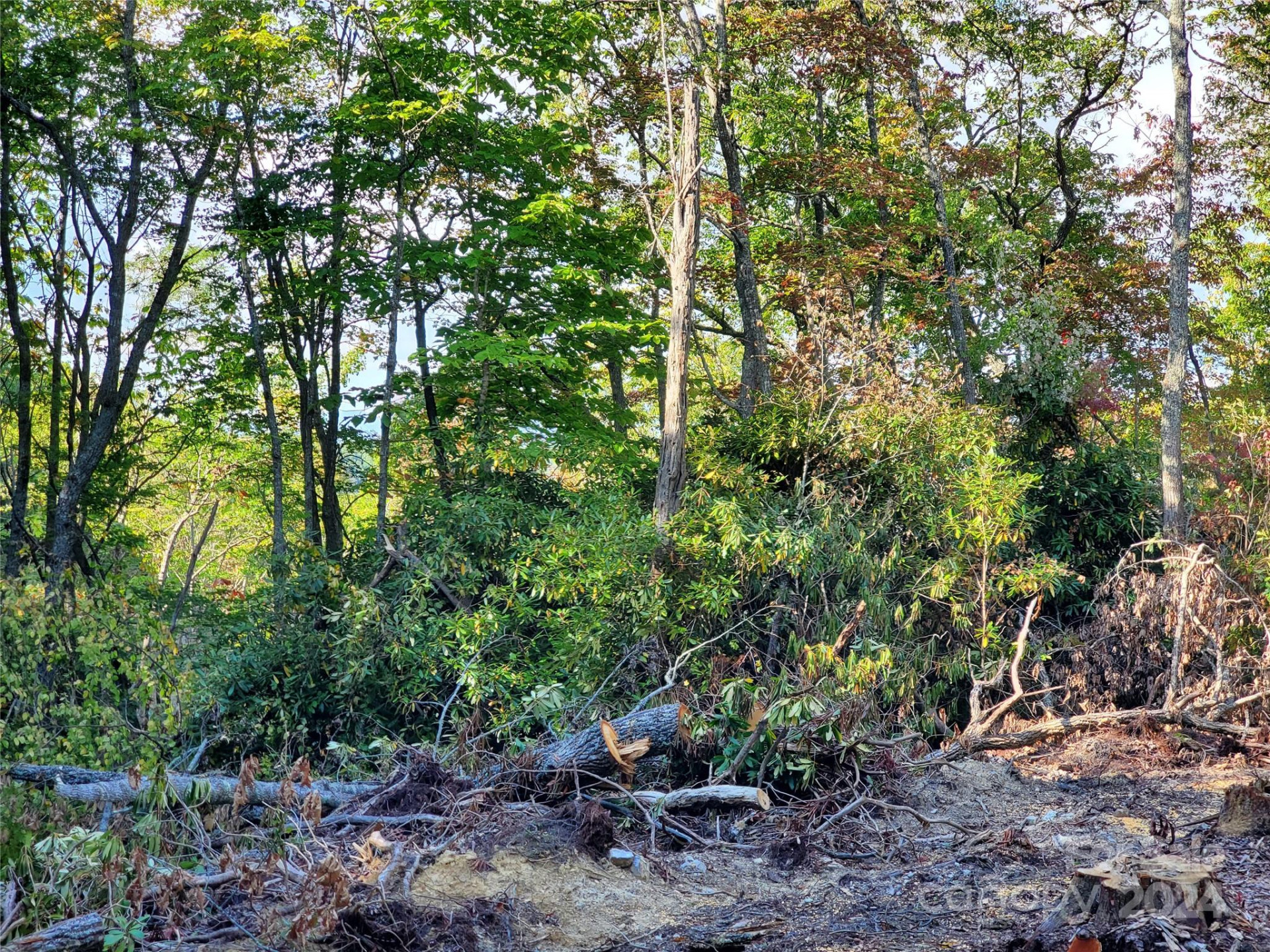 TBD Parkwood Hill Road - Photo 20