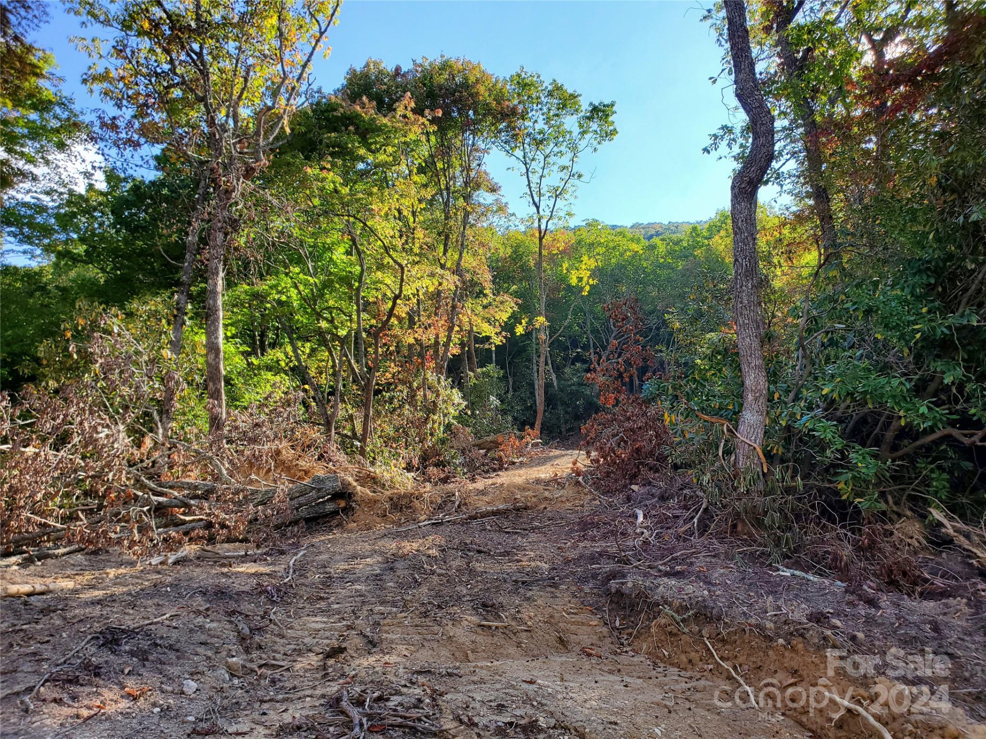 TBD Parkwood Hill Road - Photo 25