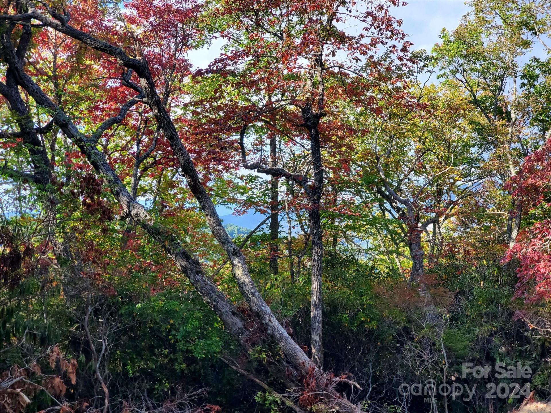 TBD Parkwood Hill Road - Photo 27