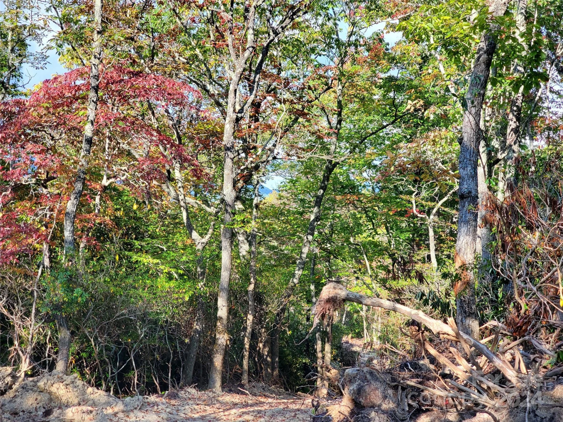 TBD Parkwood Hill Road - Photo 28
