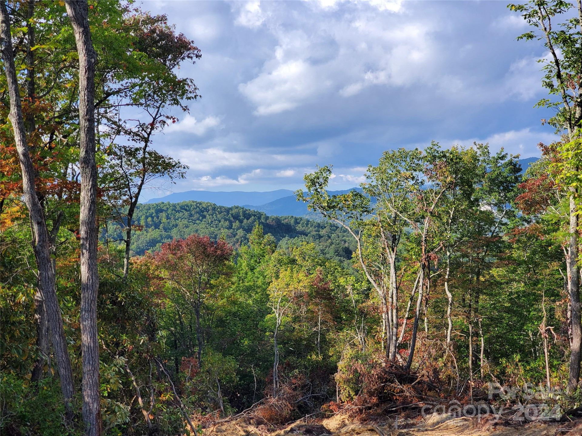 TBD Parkwood Hill Road - Photo 4