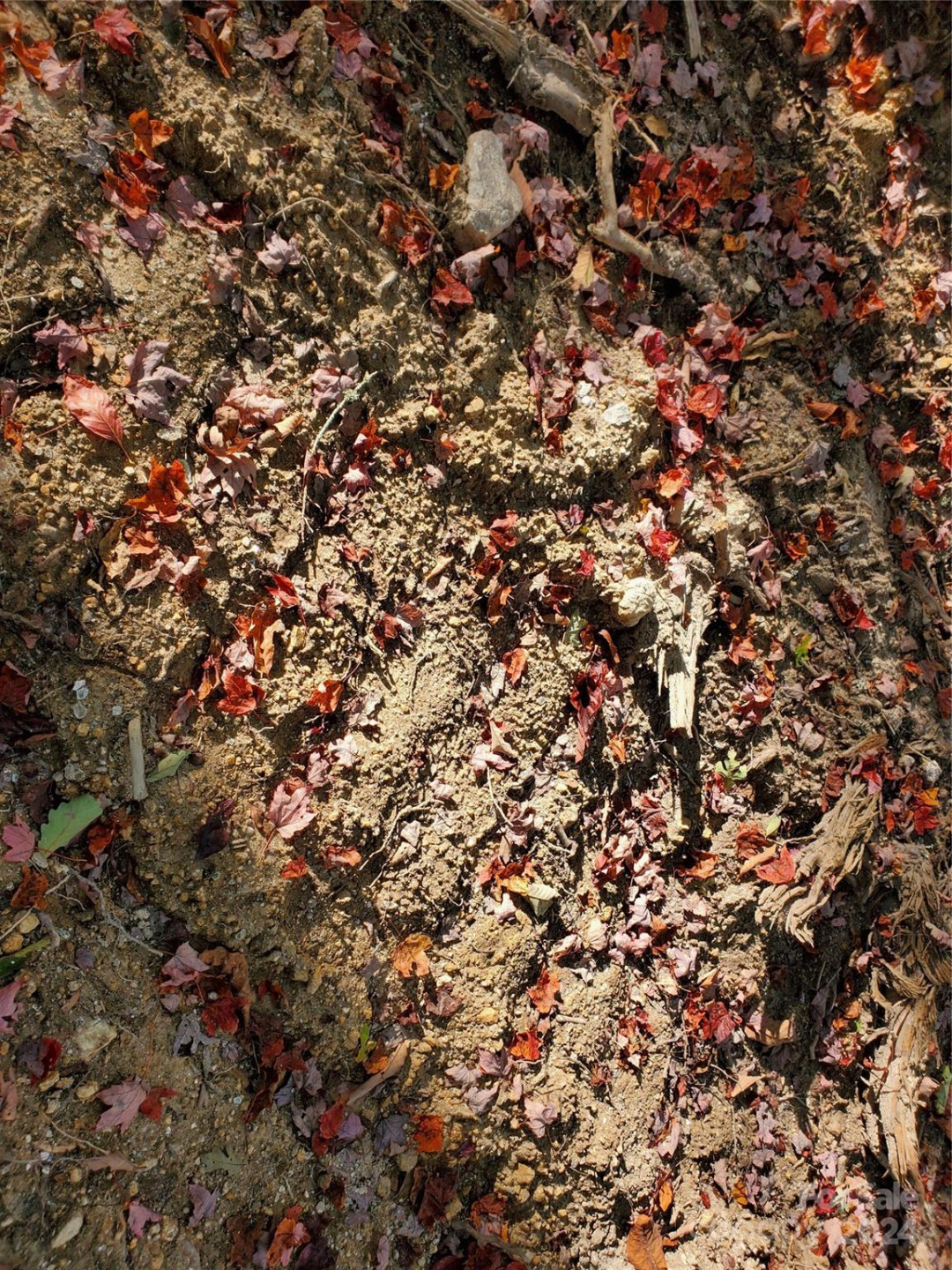 TBD Parkwood Hill Road - Photo 31