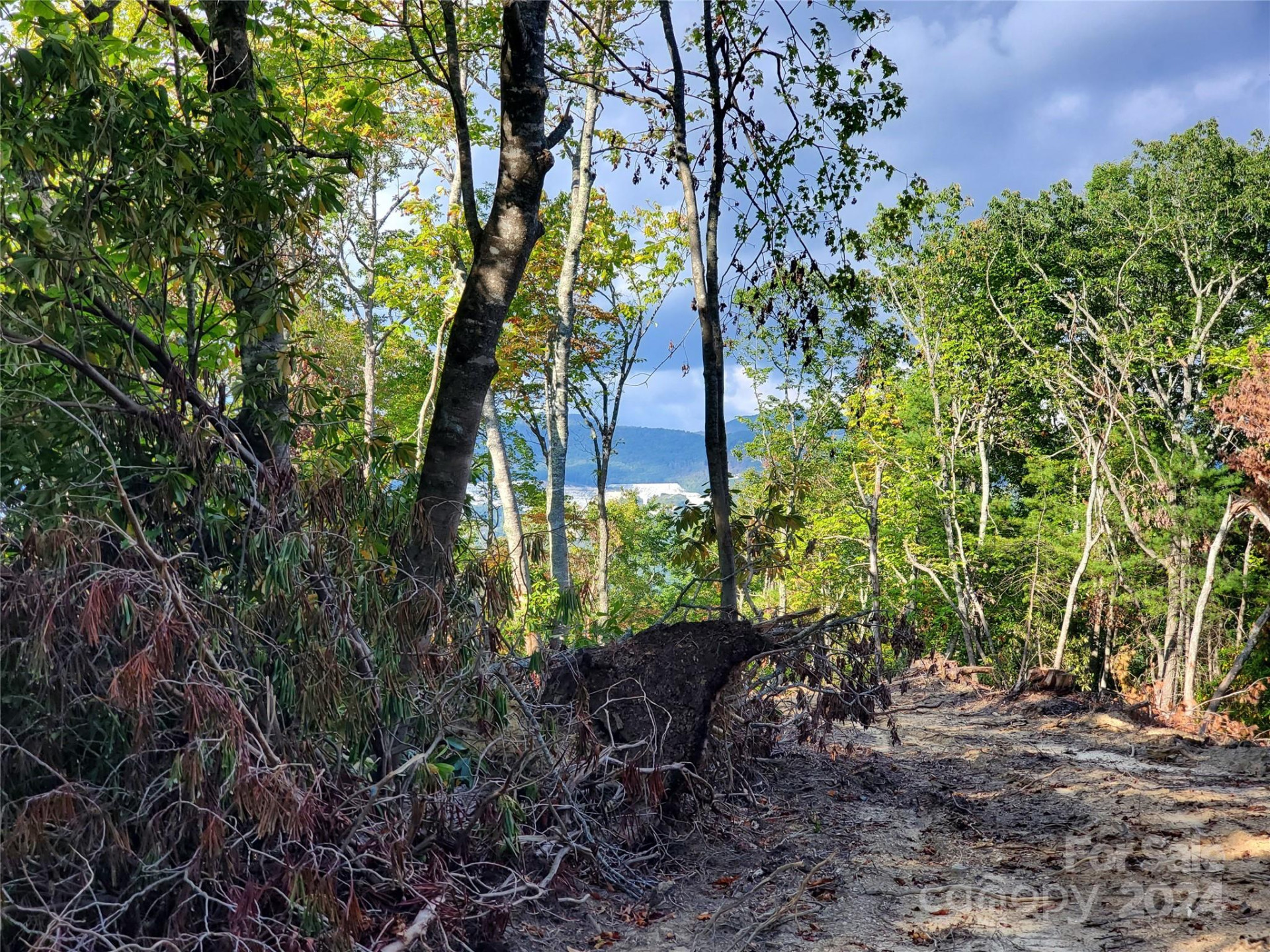 TBD Parkwood Hill Road - Photo 32