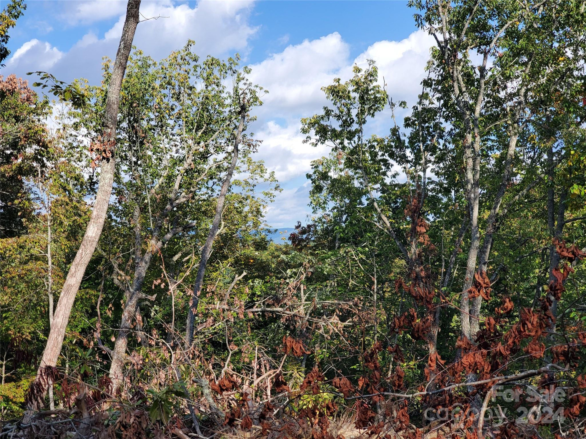 TBD Parkwood Hill Road - Photo 33