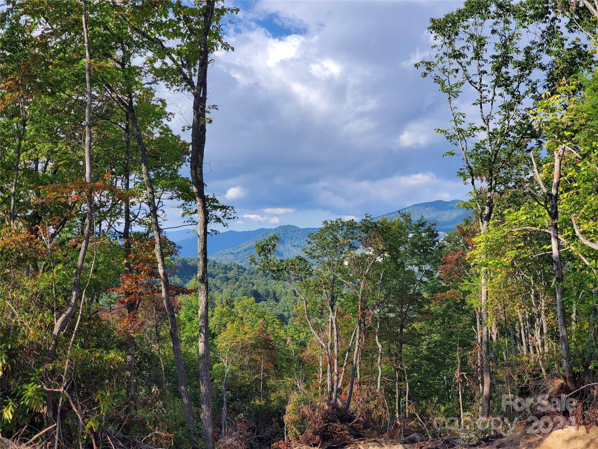 TBD Parkwood Hill Road - Photo 34