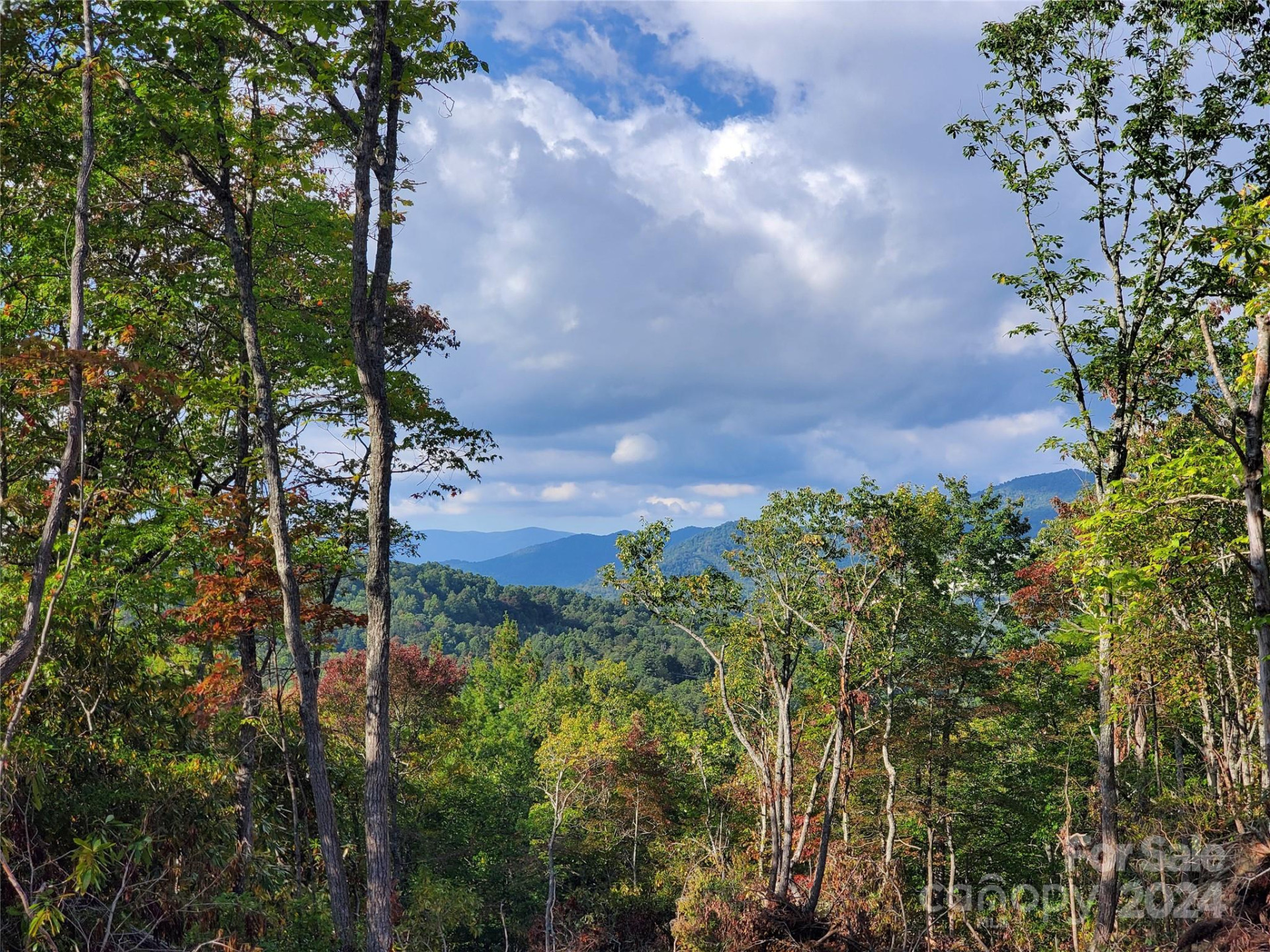 TBD Parkwood Hill Road - Photo 35