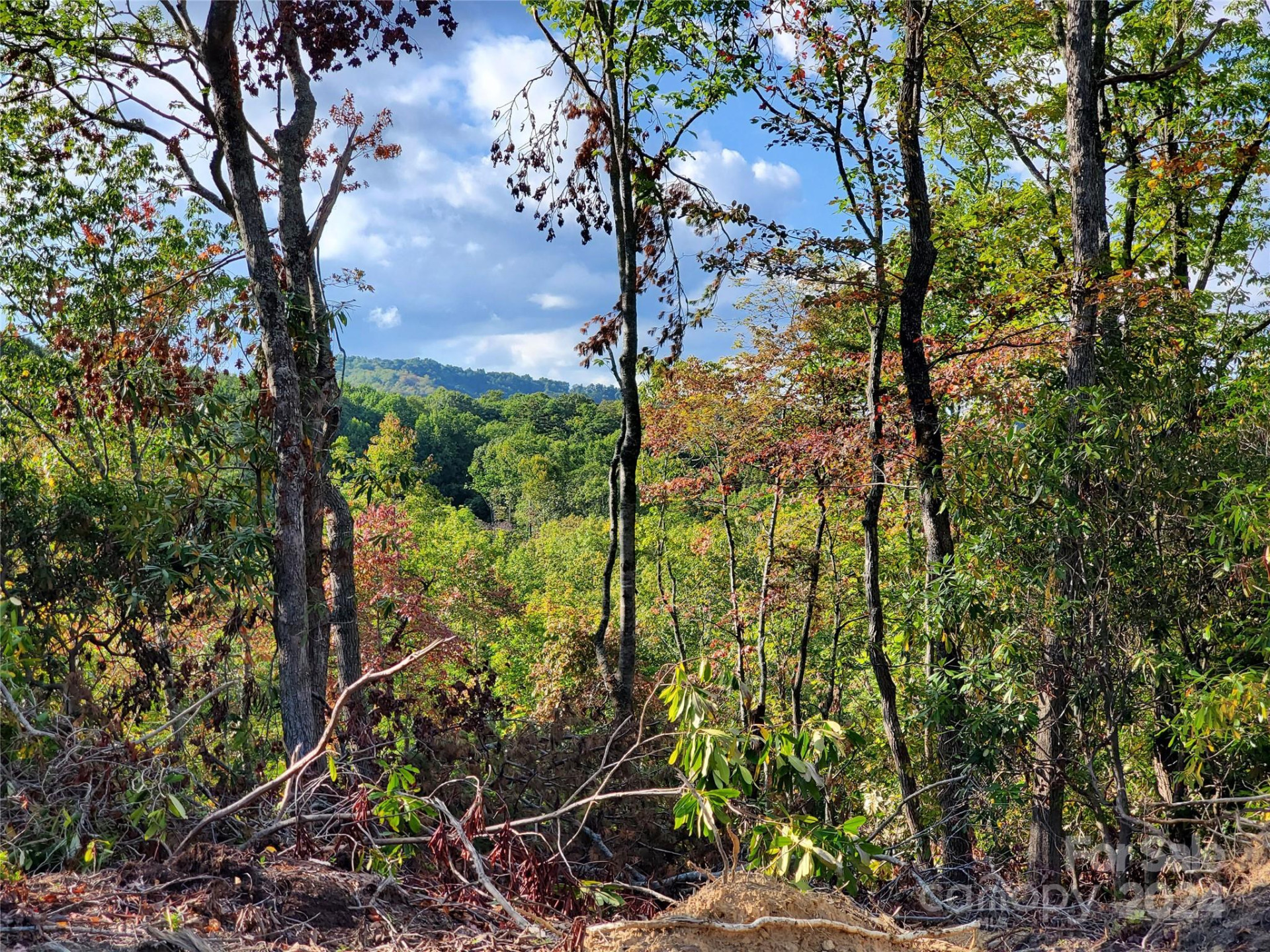 TBD Parkwood Hill Road - Photo 36