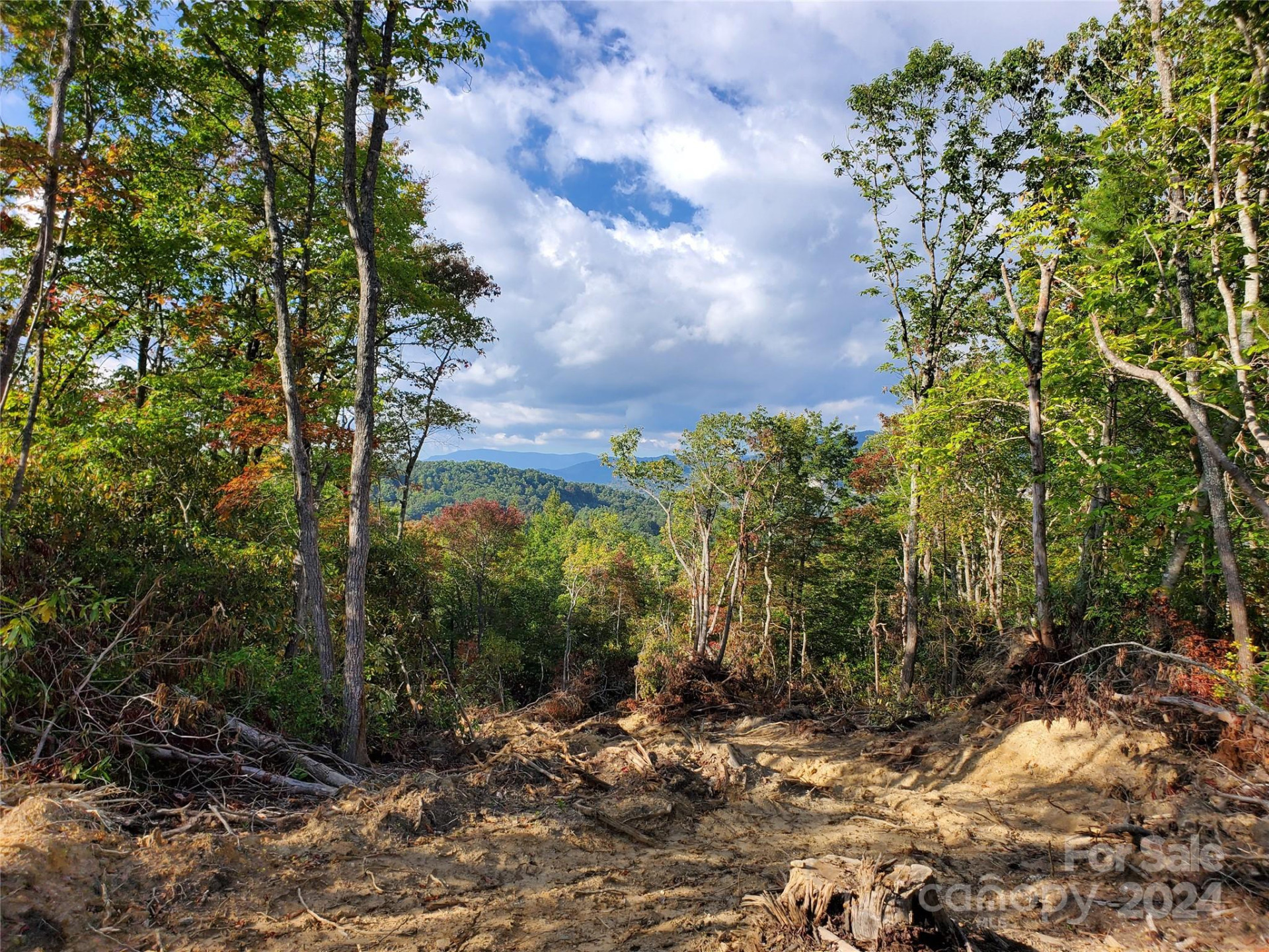 TBD Parkwood Hill Road - Photo 38